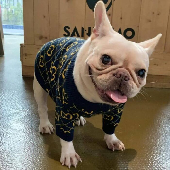 frenchie space shop black elegance frenchie sweater