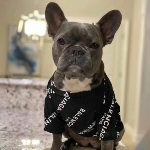 frenchie space shop blacklenciaga french bulldog shirt