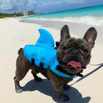 frenchie space shop bluesea french bulldog life jacket