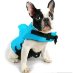 frenchie space shop bluesea french bulldog life jacket