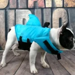frenchie space shop bluesea french bulldog life jacket