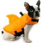 frenchie space shop bluesea french bulldog life jacket