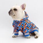 frenchie space shop bold style frenchie hoodie