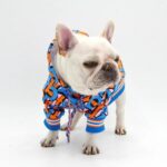 frenchie space shop bold style frenchie hoodie