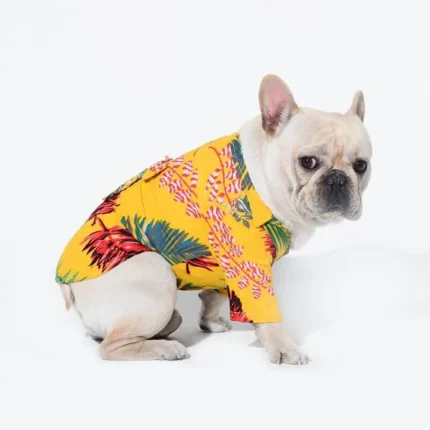 frenchie space shop breezy french bulldog shirt