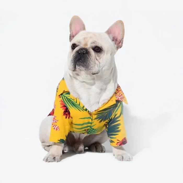 frenchie space shop breezy french bulldog shirt