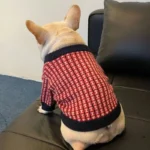 frenchie space shop chic french bulldog sweater