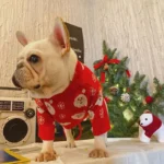frenchie space shop christmas santa french bulldog sweater