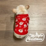 frenchie space shop christmas santa french bulldog sweater