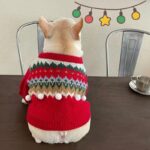 frenchie space shop christmasred french bulldog sweater