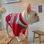 frenchie space shop christmasred french bulldog sweater