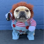 frenchie space shop chucky french bulldog costume
