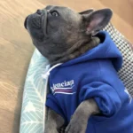 frenchie space shop classic french bulldog hoodie