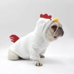 frenchie space shop cockadoodle french bulldog hoodie