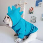 frenchie space shop dino spike frenchie hoodie