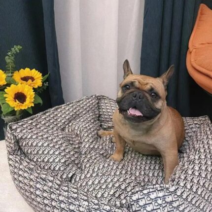 frenchie space shop dogior frenchie bed