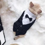 frenchie space shop elegantsuit french bulldog shirt