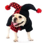 frenchie space shop french bulldog joker costume