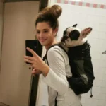 frenchie space shop french bulldog mesh carrier