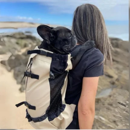 frenchie space shop french bulldog mesh carrier