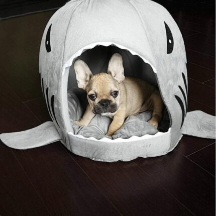 frenchie space shop french bulldog shark bed
