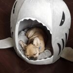 frenchie space shop french bulldog shark bed