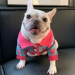 frenchie space shop frenchie romance sweater