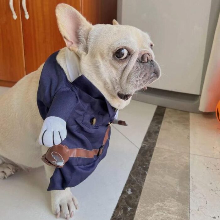 frenchie space shop frenchielice french bulldog costume