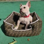 frenchie space shop frendi french bulldog bed