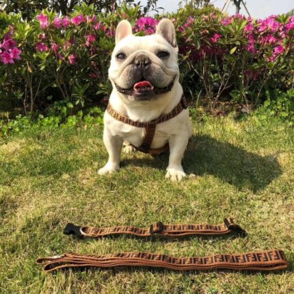 frenchie space shop frendi french bulldog harness leash