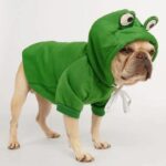 frenchie space shop froggy doggy frenchie hoodie