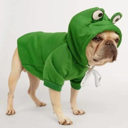 frenchie space shop froggy doggy frenchie hoodie