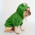 frenchie space shop froggy doggy frenchie hoodie