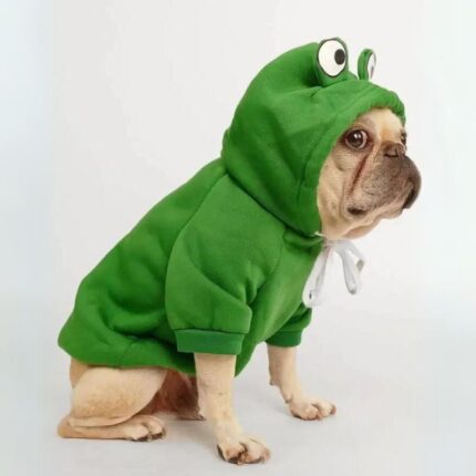 frenchie space shop froggy doggy frenchie hoodie
