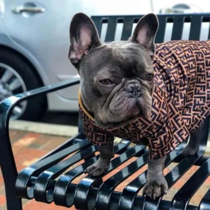 frenchie space shop furendi french bulldog shirt