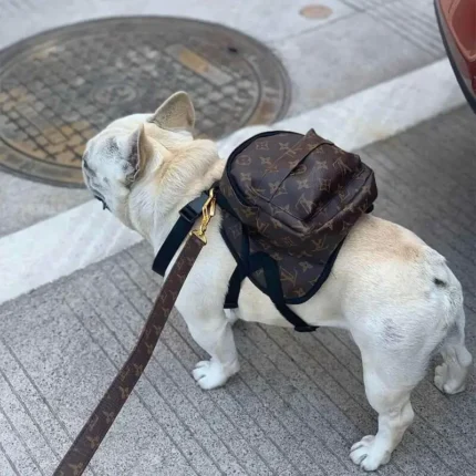 frenchie space shop glam french bulldog backpack