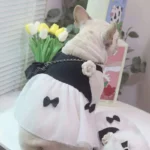 frenchie space shop glam french bulldog dress