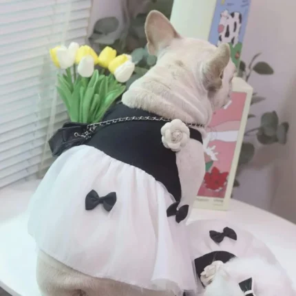 frenchie space shop glam french bulldog dress