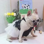 frenchie space shop glam french bulldog dress