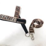 frenchie space shop glampaw french bulldog harness