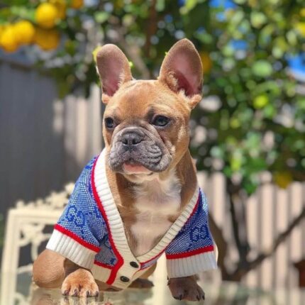 frenchie space shop glamvibes french bulldog cardigan