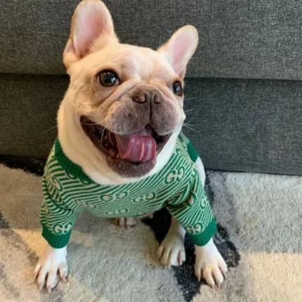 frenchie space shop green french bulldog sweater