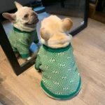 frenchie space shop green french bulldog sweater