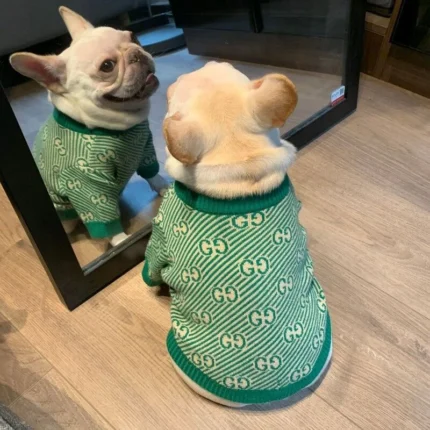 frenchie space shop green french bulldog sweater
