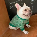 frenchie space shop green french bulldog sweater
