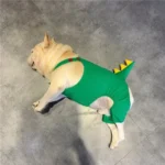frenchie space shop greendino french bulldog costume