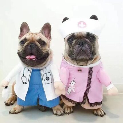 frenchie space shop healthservice french bulldog costume