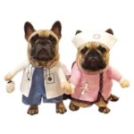 frenchie space shop healthservice french bulldog costume