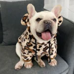 frenchie space shop leopard french bulldog hoodie
