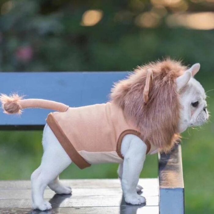 frenchie space shop lion french bulldog costume